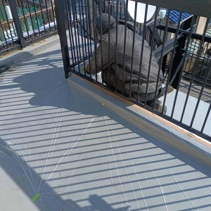 2026年02月13日の投稿「杉田班」