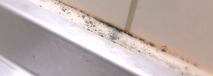 カビやシロアリの発生