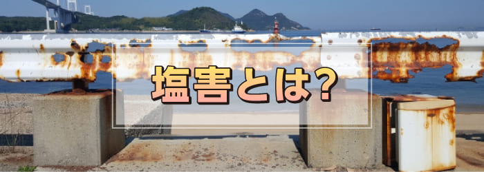 塩害とは？
