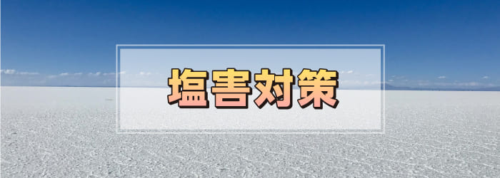 効果的な塩害対策は？