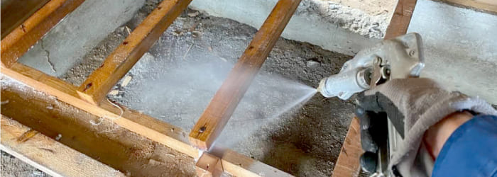 シロアリの発生