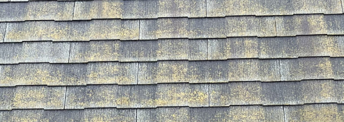 スレート屋根の劣化症状：③コケ・藻・カビの発生